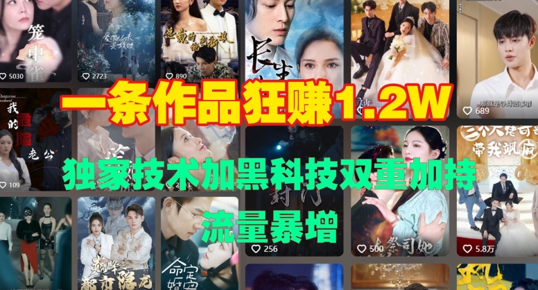 图片[1]-【2024.11.28】一条作品收益1.2w，独家技术加黑科技双重加持，流量暴增百度网盘免费下载-芽米宝库