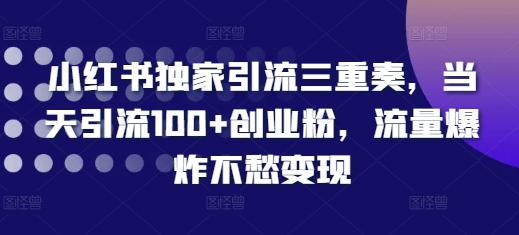 图片[1]-【2024.11.28】小红书独家引流三重奏，当天引流100+创业粉，流量爆炸不愁变现百度网盘免费下载-芽米宝库