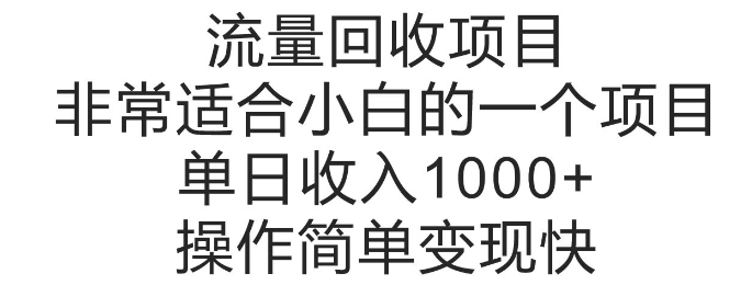 【2024.11.25】流量回收项目，非常适合小白的一个项目单日收入多张，操作简单变现快百度网盘免费下载-芽米宝库