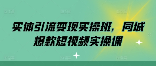 【2024.11.24】实体引流变现实操班，同城爆款短视频实操课百度网盘免费下载-芽米宝库