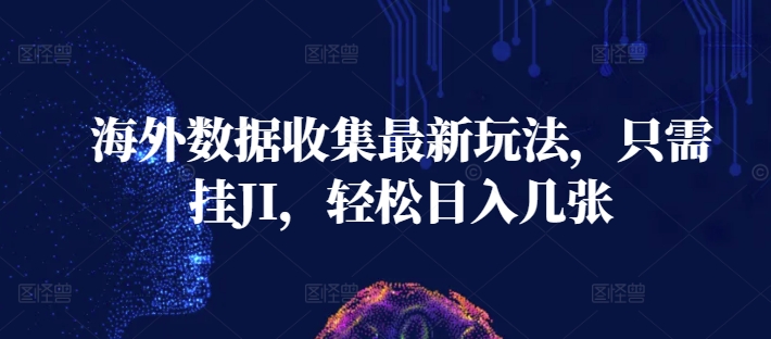 【2024.11.22】海外数据收集最新玩法，只需挂JI，轻松日入几张百度网盘免费下载-芽米宝库