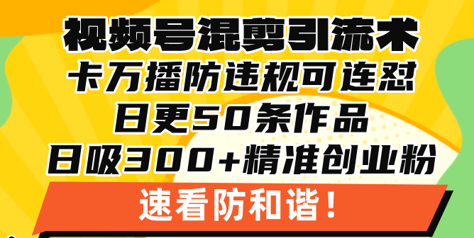 图片[1]-【2024.11.22】视频号混剪引流技术，500万播放引流17000创业粉，操作简单当天学会百度网盘免费下载-芽米宝库