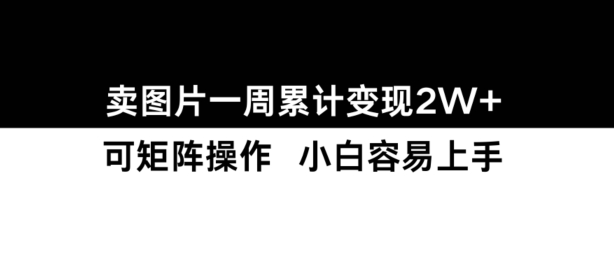 【2024.11.20】小红书【卖图片】一周累计变现2W+小白易上手百度网盘免费下载-芽米宝库