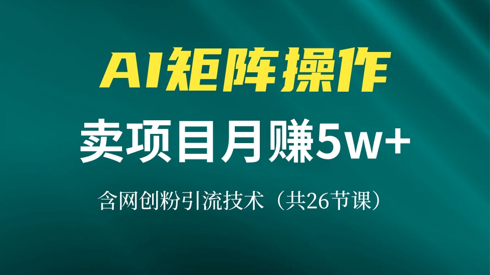 【2024.11.15】网创IP打造课，借助AI卖项目月赚5万+，含引流技术（共26节课）百度网盘免费下载-芽米宝库
