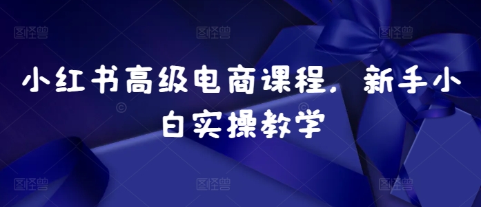 【2024.11.13】小红书高级电商课程，新手小白实操教学百度网盘免费下载-芽米宝库