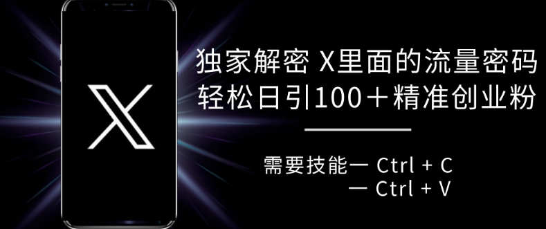 图片[1]-【2024.11.13】独家解密 X 里面的流量密码，复制粘贴轻松日引100+百度网盘免费下载-芽米宝库