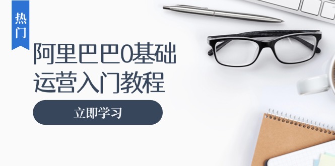 【2024.11.12】阿里巴巴运营零基础入门教程：涵盖开店、运营、推广，快速成为电商高手百度网盘免费下载-芽米宝库