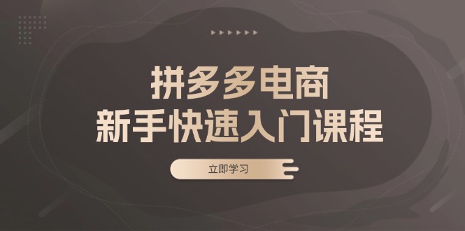 图片[1]-【2024.11.12】拼多多电商新手快速入门课程：涵盖基础、实战与选款，助力小白轻松上手百度网盘免费下载-芽米宝库