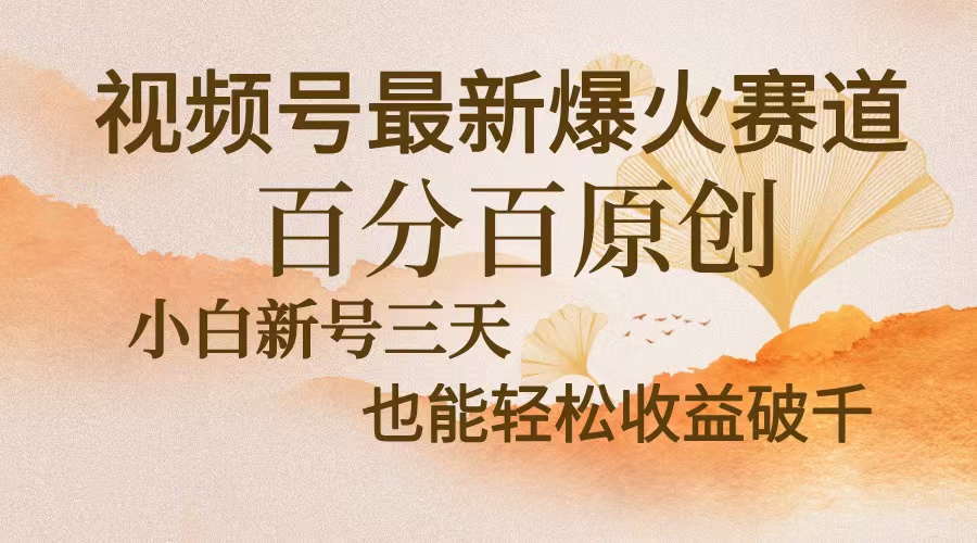 【2024.11.06】视频号最新爆火赛道，中老年粉深信不疑，百分百原创，新号三天收益轻松破千百度网盘免费下载-芽米宝库