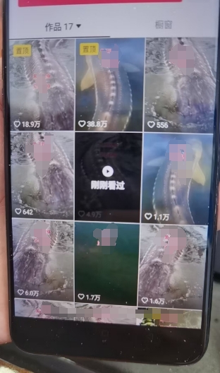 图片[2]-【2024.11.04】外面卖399的国学佛像原创暴力起号技术，快速起号，7天可达到一个万粉号百度网盘免费下载-芽米宝库