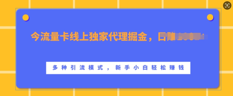 【2024.11.01】流量卡线上独家代理掘金，日入1k+ ，多种引流模式，新手小白轻松上手百度网盘免费下载-芽米宝库