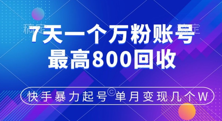【2024.11.01】快手暴力起号，7天涨万粉，小白当天起号，多种变现方式，单月变现几个百度网盘免费下载-芽米宝库