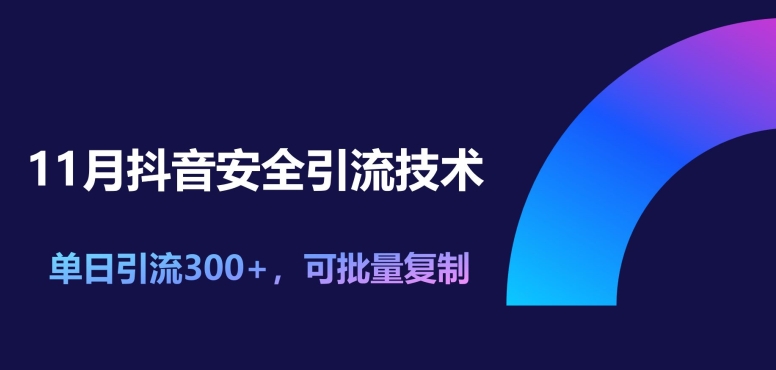 图片[1]-【2024.11.01】11月抖音安全引流技术，单日引流300+，可批量复制百度网盘免费下载-芽米宝库
