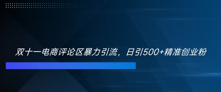 【2024.10.28】双十一电商评论区暴力引流，日引500+精准创业粉百度网盘免费下载-芽米宝库