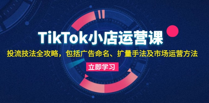 【2024.10.23】TikTok小店运营课：投流技法全攻略，包括广告命名 扩量手法及市场运营方法百度网盘免费下载-芽米宝库