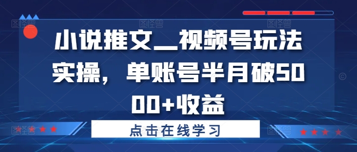 【2024.10.01】小说推文—视频号玩法实操，单账号半月破5000+收益百度网盘免费下载-芽米宝库