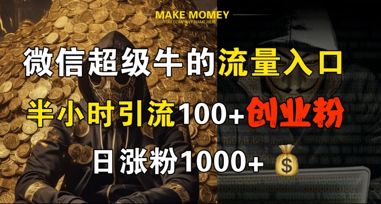 【2024.10.01】微信超级牛的流量入口，半小时引流100+创业粉，日涨粉1000+百度网盘免费下载-芽米宝库