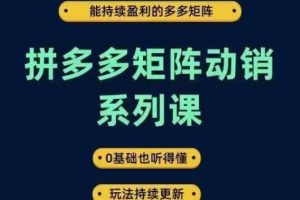 【2024.09.26】拼多多矩阵动销系列课，能持续盈利的多多矩阵，0基础也听得懂，玩法持续更新百度网盘免费下载-芽米宝库