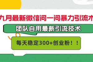 【2024.09.26】九月最新微信问一问暴力引流术，团队自用引流术，每天稳定300+创业粉百度网盘免费下载-芽米宝库