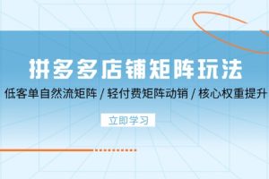 【2024.09.26】拼多多店铺矩阵玩法：低客单自然流矩阵 / 轻付费矩阵 动销 / 核心权重提升百度网盘免费下载-芽米宝库