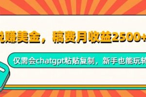 【2024.09.25】小说赚美金，稿费月收益2.5k美金，仅需会chatgpt粘贴复制，新手也能玩转百度网盘免费下载-芽米宝库