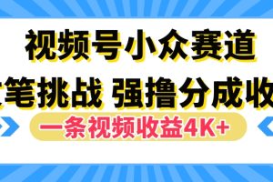 【2024.09.25】视频号新赛道之文笔挑战，强撸分成收益，一条视频赚了4K+百度网盘免费下载-芽米宝库