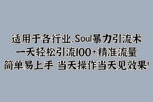 【2024.09.25】Soul暴力引流术，一天轻松引流100+精准流量，简单易上手 当天操作当天见效果!百度网盘免费下载-芽米宝库