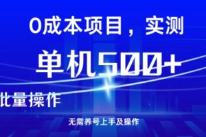 【2024.09.24】男粉引流项目，单机一天几张，无需养机上手即操作百度网盘免费下载-芽米宝库