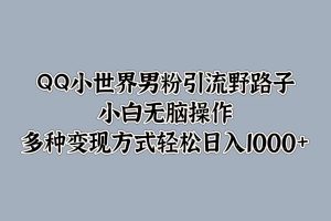【2024.09.24】QQ小世界男粉引流野路子，小白无脑操作，多种变现方式百度网盘免费下载-芽米宝库