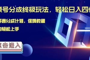 【2024.09.23】视频号分成终极玩法，日入几张，绝对的风口项目，小白也能轻松上手百度网盘免费下载-芽米宝库