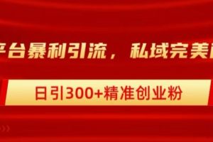 【2024.09.22】跨平台暴力引流，私域完美闭环，日引100+精准创业粉百度网盘免费下载-芽米宝库