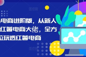 【2024.09.22】小红书电商进阶版，从新人进阶小红薯电商大佬，全方位玩透红薯电商百度网盘免费下载-芽米宝库