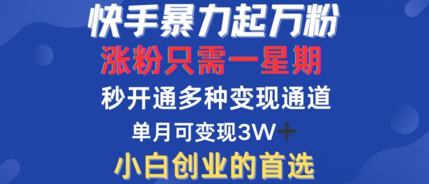 图片[1]-【2024.09.22】快手暴力起万粉，涨粉只需一星期，多种变现模式，直接秒开万合，单月变现过W百度网盘免费下载-芽米宝库