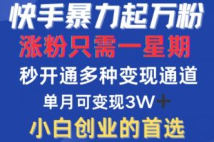 【2024.09.22】快手暴力起万粉，涨粉只需一星期，多种变现模式，直接秒开万合，单月变现过W百度网盘免费下载-芽米宝库