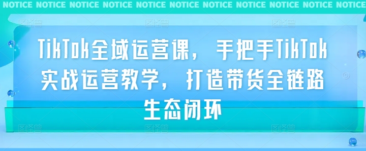 图片[1]-【2024.09.21】TikTok全域运营课，手把手TikTok实战运营教学，打造带货全链路生态闭环百度网盘免费下载-芽米宝库