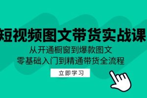 【2024.09.21】短视频图文带货实战课：从开通橱窗到爆款图文，零基础入门到精通带货百度网盘免费下载-芽米宝库