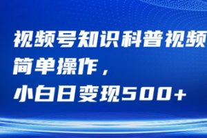 【2024.09.20】视频号知识科普视频，简单操作，小白日变现500+百度网盘免费下载-芽米宝库