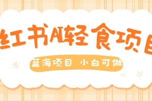 【2024.09.20】用AI在小红书做轻食账号，蓝海项目好上手，单号日入5张百度网盘免费下载-芽米宝库