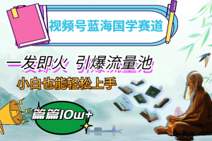 【2024.09.19】视频号蓝海国学赛道，一发即火，引爆流量池，小白也能轻松上手，月入过万百度网盘免费下载-芽米宝库