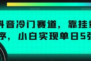 【2024.09.19】抖音冷门赛道，靠挂载小程序，小白实现单日5张收益百度网盘免费下载-芽米宝库