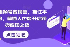 【2024.09.15】微信视频号变现营，抓住平台优势，普通人也能开启带货变现之路百度网盘免费下载-芽米宝库