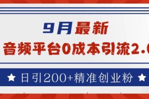 【2024.09.15】9月最新：音频平台0成本引流，日引200+精准创业粉百度网盘免费下载-芽米宝库