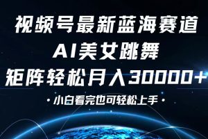 【2024.09.15】视频号最新蓝海赛道，小白也能轻松月入30000+百度网盘免费下载-芽米宝库