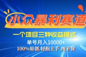 【2024.09.14】【老人言】-视频号爆火赛道，三种变现方式，0粉新号条条爆款百度网盘免费下载-芽米宝库