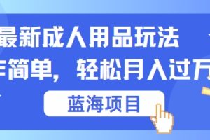【2024.09.13】最新成人用品项目玩法，操作简单，动动手，轻松日入几百百度网盘免费下载-芽米宝库