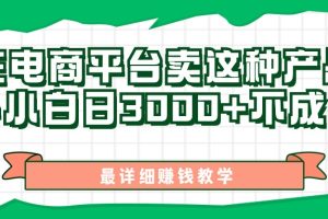 【2024.09.12】最新在电商平台发布这种产品，新手小白日入3k不成问题，最详细赚钱教学百度网盘免费下载-芽米宝库