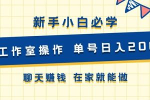【2024.09.12】新手小白必学 可工作室操作 单号日入2张 聊天赚钱 在家就能做百度网盘免费下载-芽米宝库