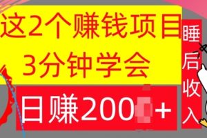 【2024.09.10】这2个项目，3分钟学会，日赚几张，懒人捡钱百度网盘免费下载-芽米宝库