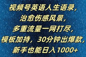 【2024.09.08】视频号英语人生语录，多重流量一网打尽，模板加持，30分钟出爆款，新手也能日入1000+百度网盘免费下载-芽米宝库