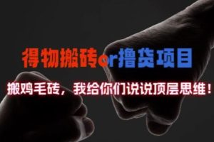 【2024.09.08】得物搬砖撸货项目?掰下数据，我给你们说说顶层思维百度网盘免费下载-芽米宝库